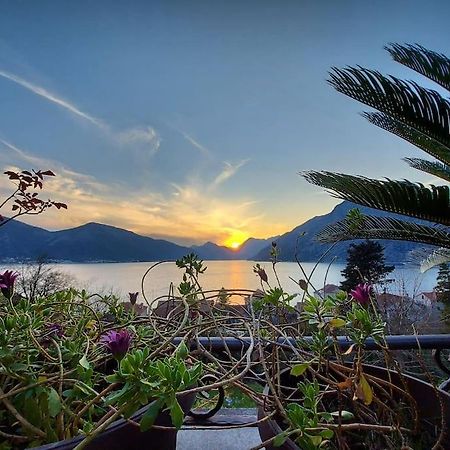 Apartment Terazza Di Ljuta Kotor Luaran gambar