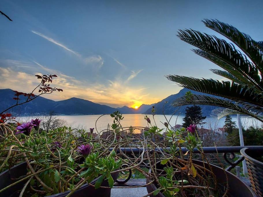 Apartment Terazza Di Ljuta Kotor Luaran gambar
