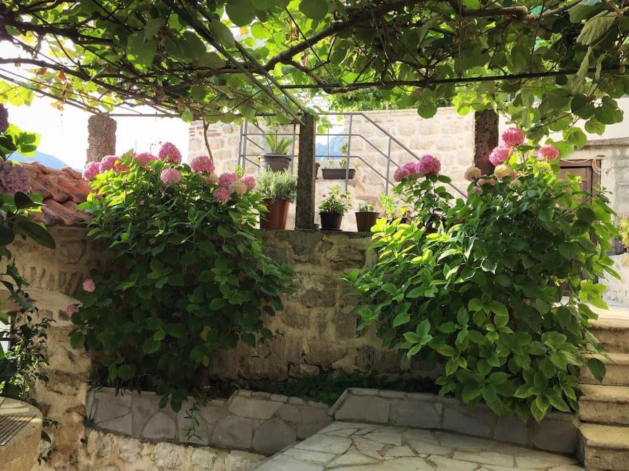 Apartment Terazza Di Ljuta Kotor Luaran gambar