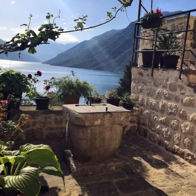 Apartment Terazza Di Ljuta Kotor Luaran gambar