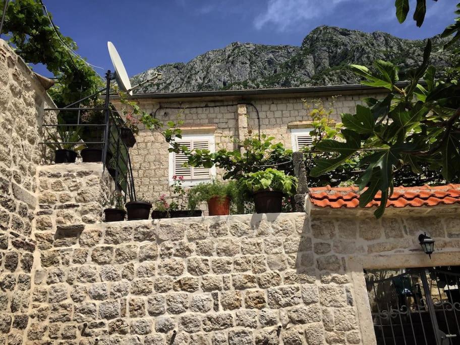 Apartment Terazza Di Ljuta Kotor Luaran gambar